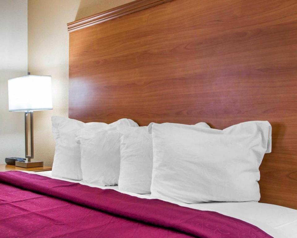 Quality Inn Ottawa Near Starved Rock State Park Esterno foto
