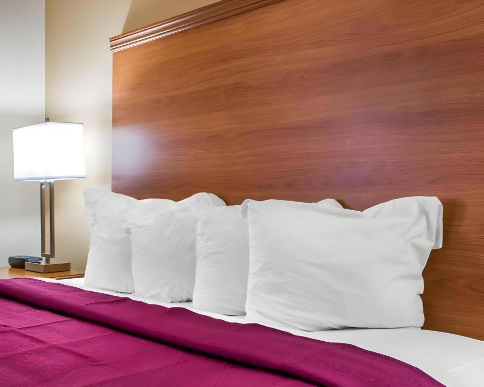 Quality Inn Ottawa Near Starved Rock State Park Esterno foto